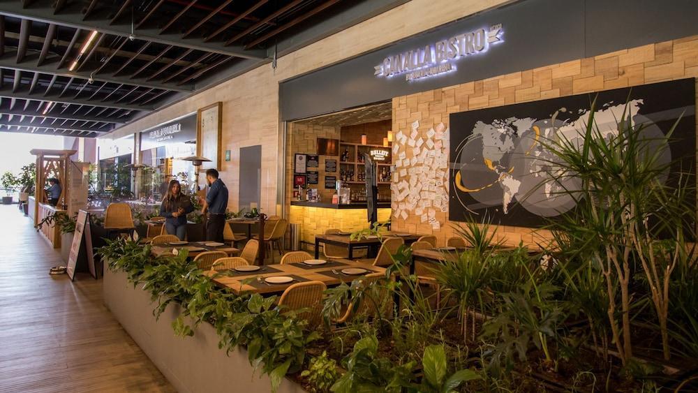 Miyana Suites 멕시코 시 외부 사진